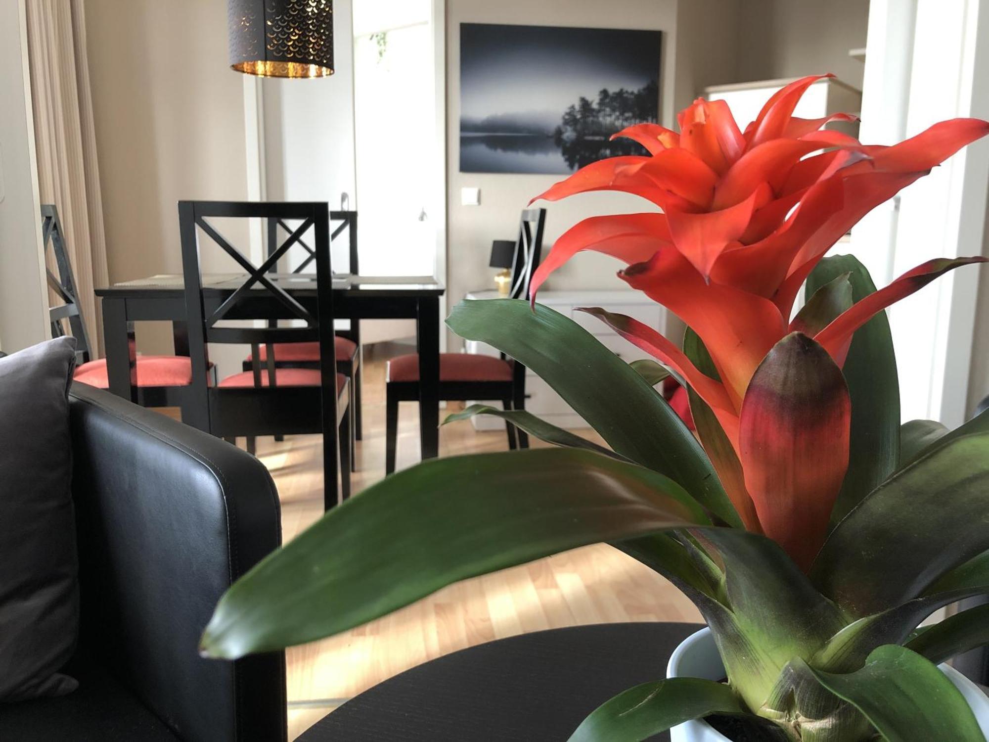 Sehnsucht Ruegen Ferienappartements Sellin  外观 照片